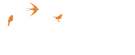 logo 360 mobility services